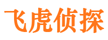 和政侦探公司